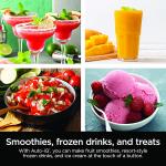 Ninja BN701 Professional Plus Blender - 1400 Peak Watts, 3 Functions for Smoothies, Frozen Drinks & Ice Cream, 72-oz. (Grey)