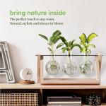Planters' Choice Light Up Bamboo Air Planter - Plant Lover Gifts