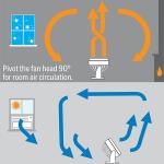 Honeywell HT-904 TurboForce Tabletop Air Circulator Fan - Small, Quiet Personal Fan for Home or Office, 3 Speeds & 90 Degree Pivoting Head (White)