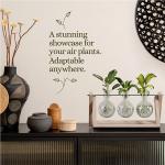 Planters' Choice Light Up Bamboo Air Planter - Plant Lover Gifts