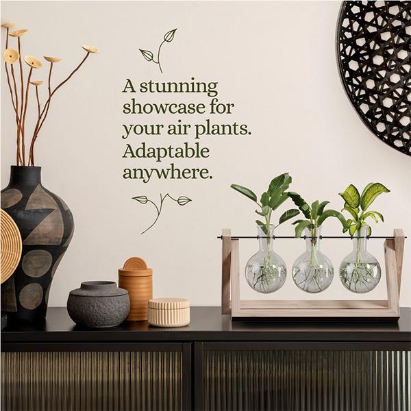 Planters' Choice Light Up Bamboo Air Planter - Plant Lover Gifts