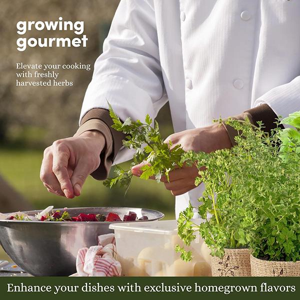 Planters' Choice 9 Herb Indoor Window Garden Kit - House Plants Seeds