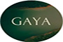 GAYA